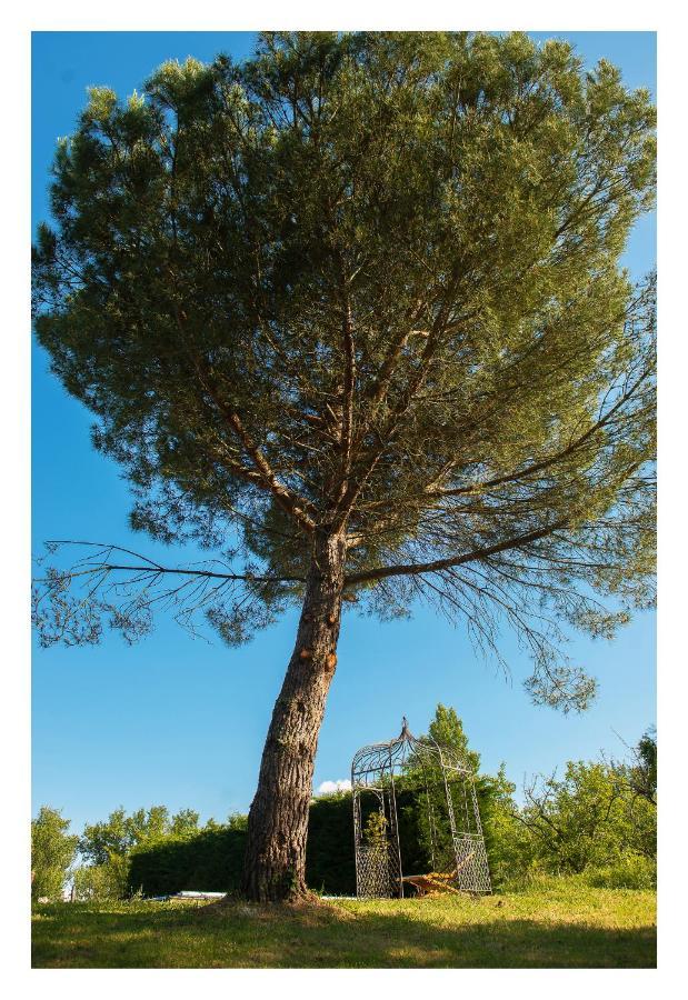 Chambre Soignee Et Accueillante A La Campagne - Ch Bleue L'Honor-de-Cos Exteriér fotografie